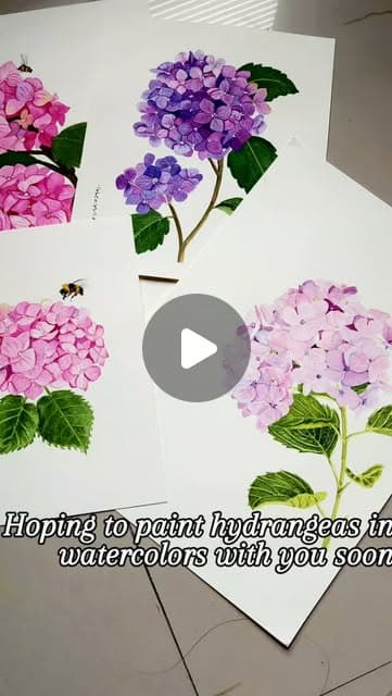 Hydrangea and bougainvillea painting reel